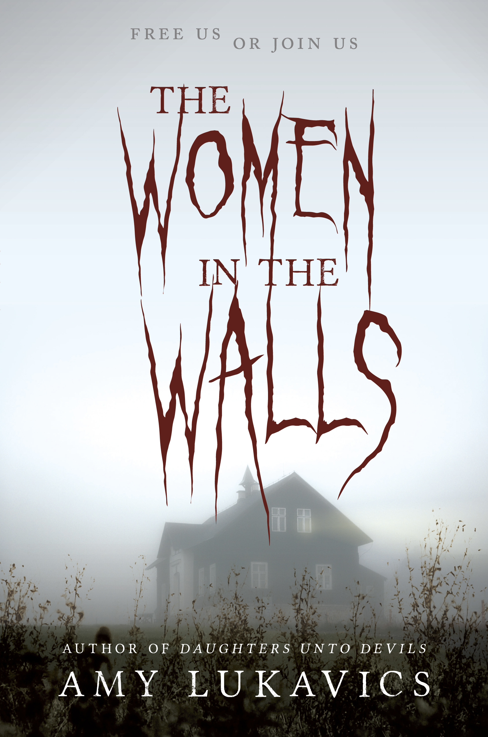 The Women in the Walls  book cover