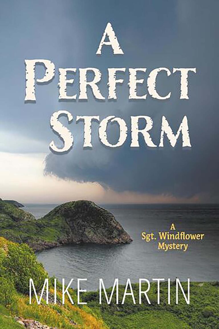A Perfect Storm by Mike Martin book cover