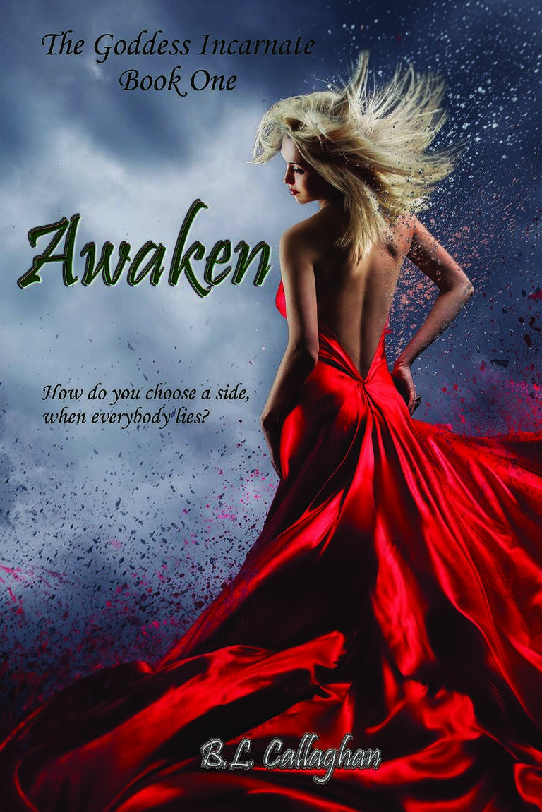 Awaken by B L  Callaghan book cover