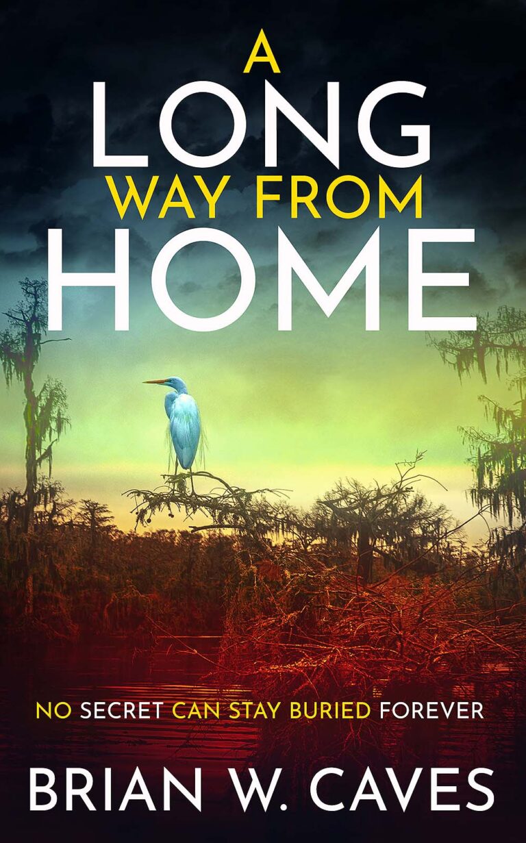 A Long Way From Home by Brian W Caves book cover