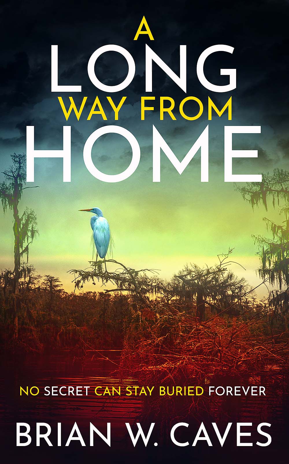A Long Way From Home by Brian W Caves