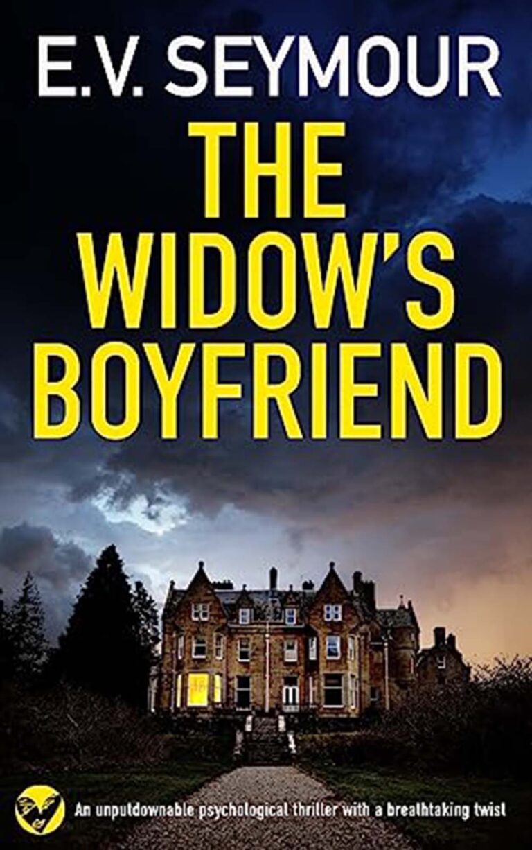 The Widow’s Boyfriend by E.V Seymour book cover